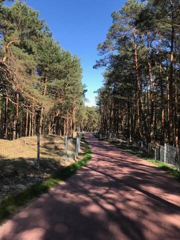 Фото номера Дом с 2 спальнями Дома для отпуска Domki Magnolia г. Дзвижино 22